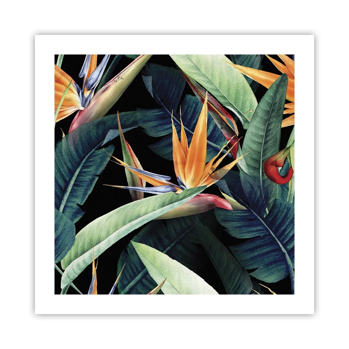 Affisch - Tropikens brinnande blommor - 50x50 cm