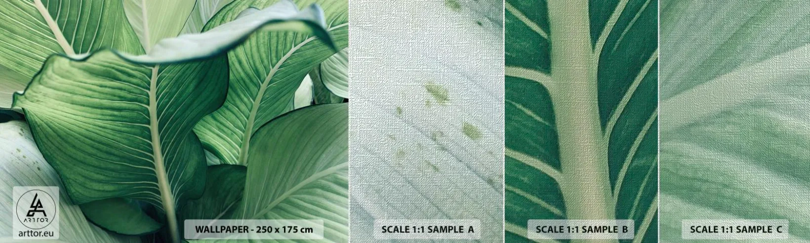 Provbit av fototapet Premium Canvas - Livet intensivt grönt - Löv, Exotisk, Botanisk - 100x30 cm