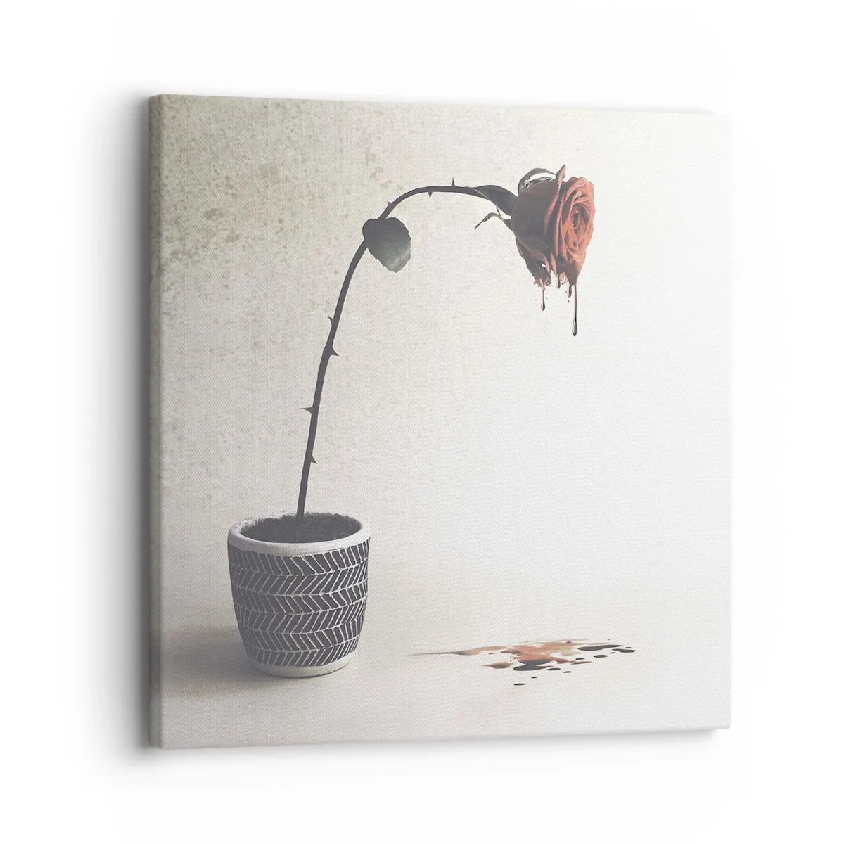 Canvastavla - Bild på duk - Rosa dolorosa - 30x30 cm