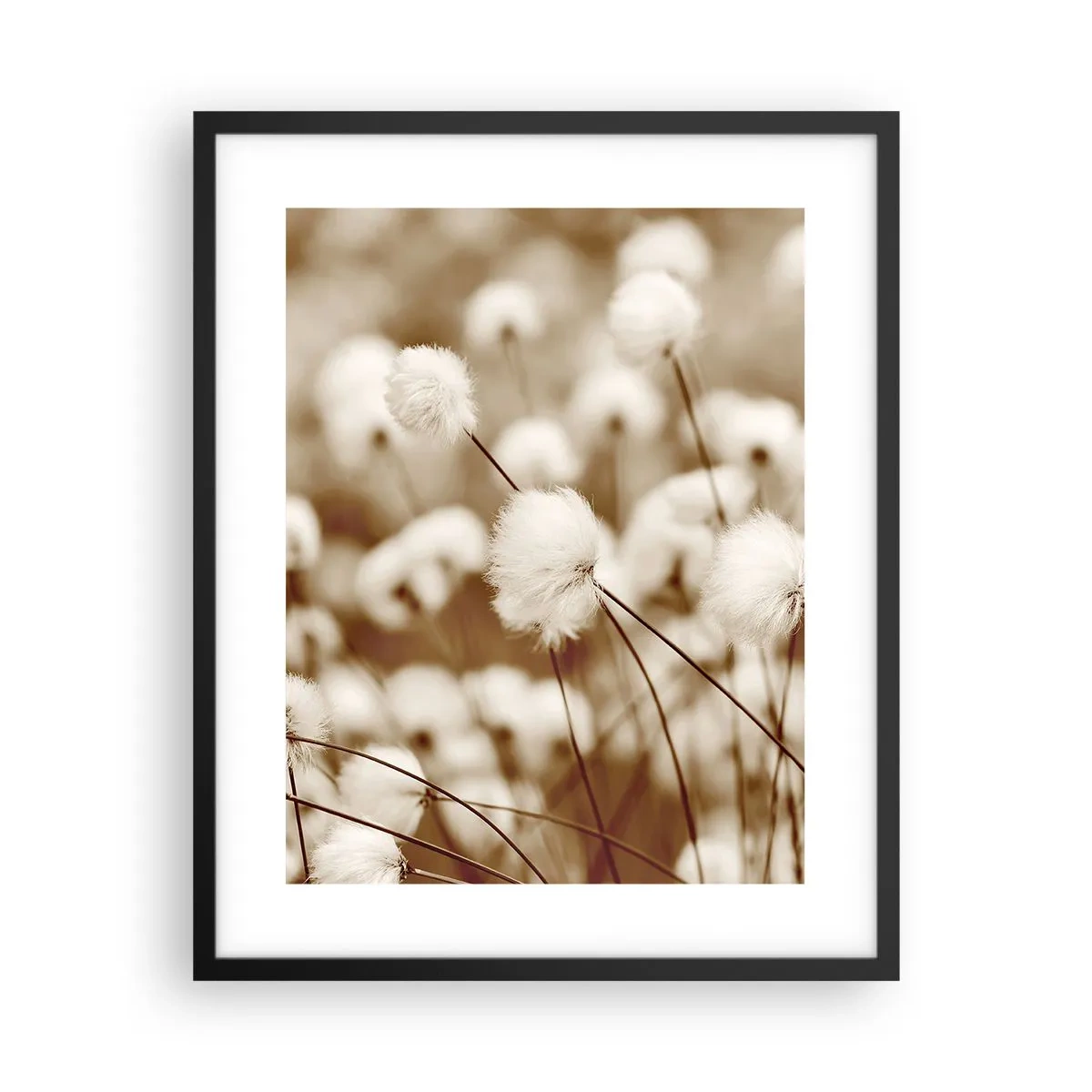 Affisch i svart ram - Fluffig åkermark - 40x50 cm