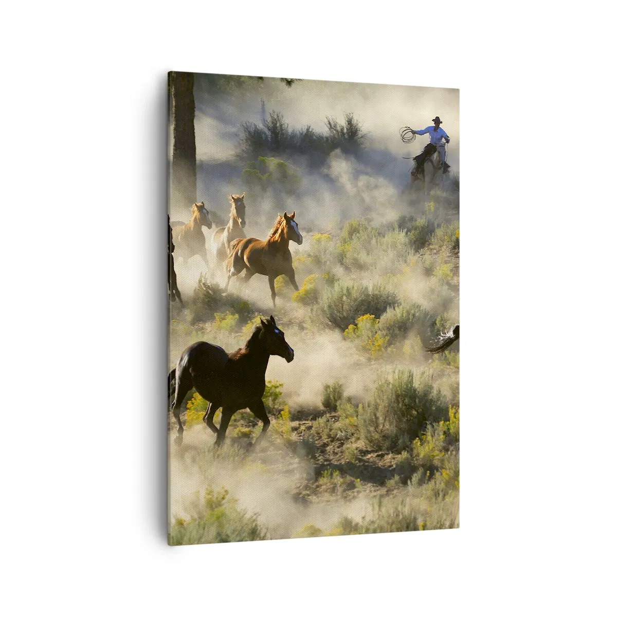 Canvastavla - Bild på duk - Tävlande - frihet eller manlig styrka? - 70x100 cm