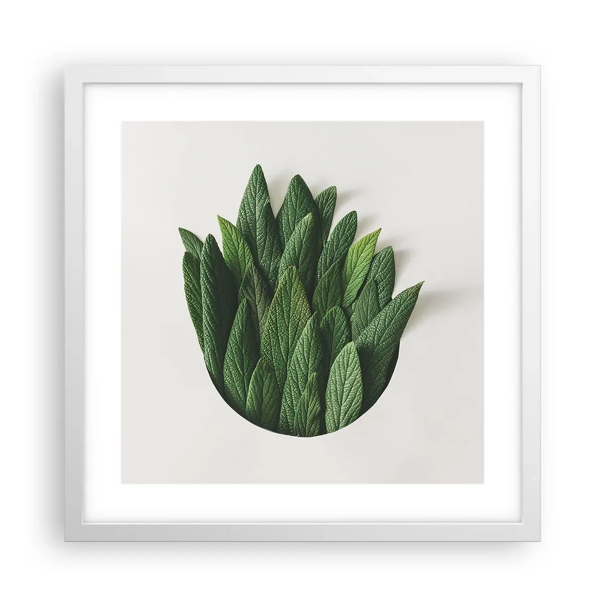 Affisch i vit ram - Ostoppbar nyfikenhet - 40x40 cm