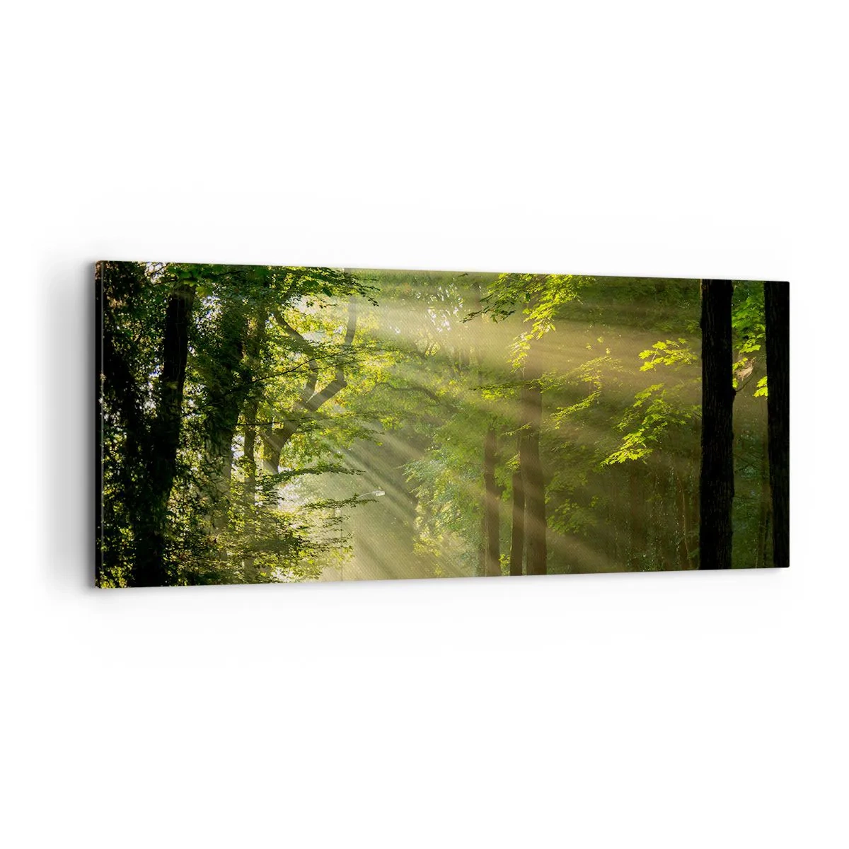Canvastavla - Bild på duk - En stund i skogen - 100x40 cm