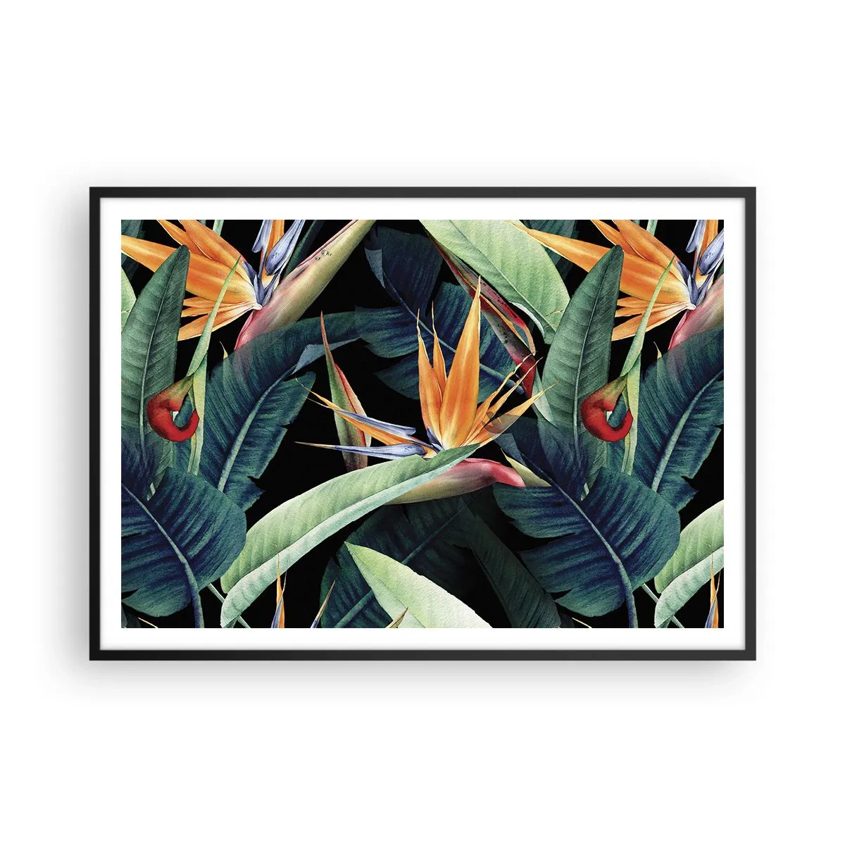 Affisch i svart ram - Tropikens brinnande blommor - 100x70 cm