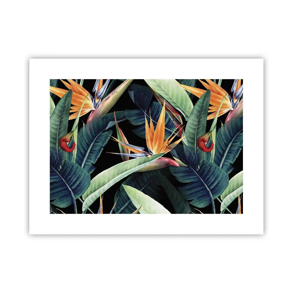 Affisch - Tropikens brinnande blommor - 40x30 cm