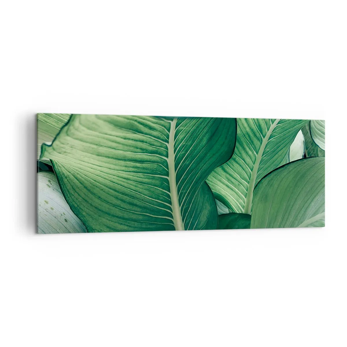 Canvastavla - Bild på duk - Livet intensivt grönt - 140x50 cm