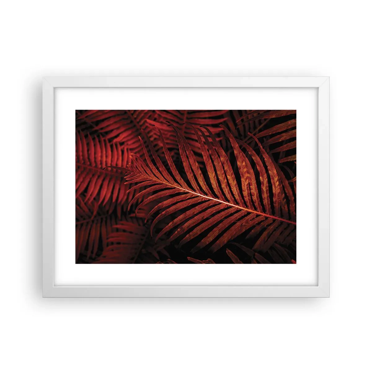 Affisch i vit ram - Livets glöd - 40x30 cm