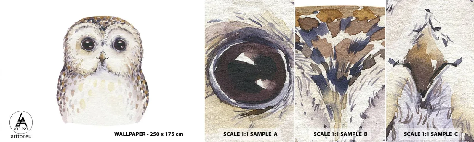 Fototapet Prov Standard Eco - Titta i mina ögon - Uggla, Fågel, Grafik - 100x30 cm