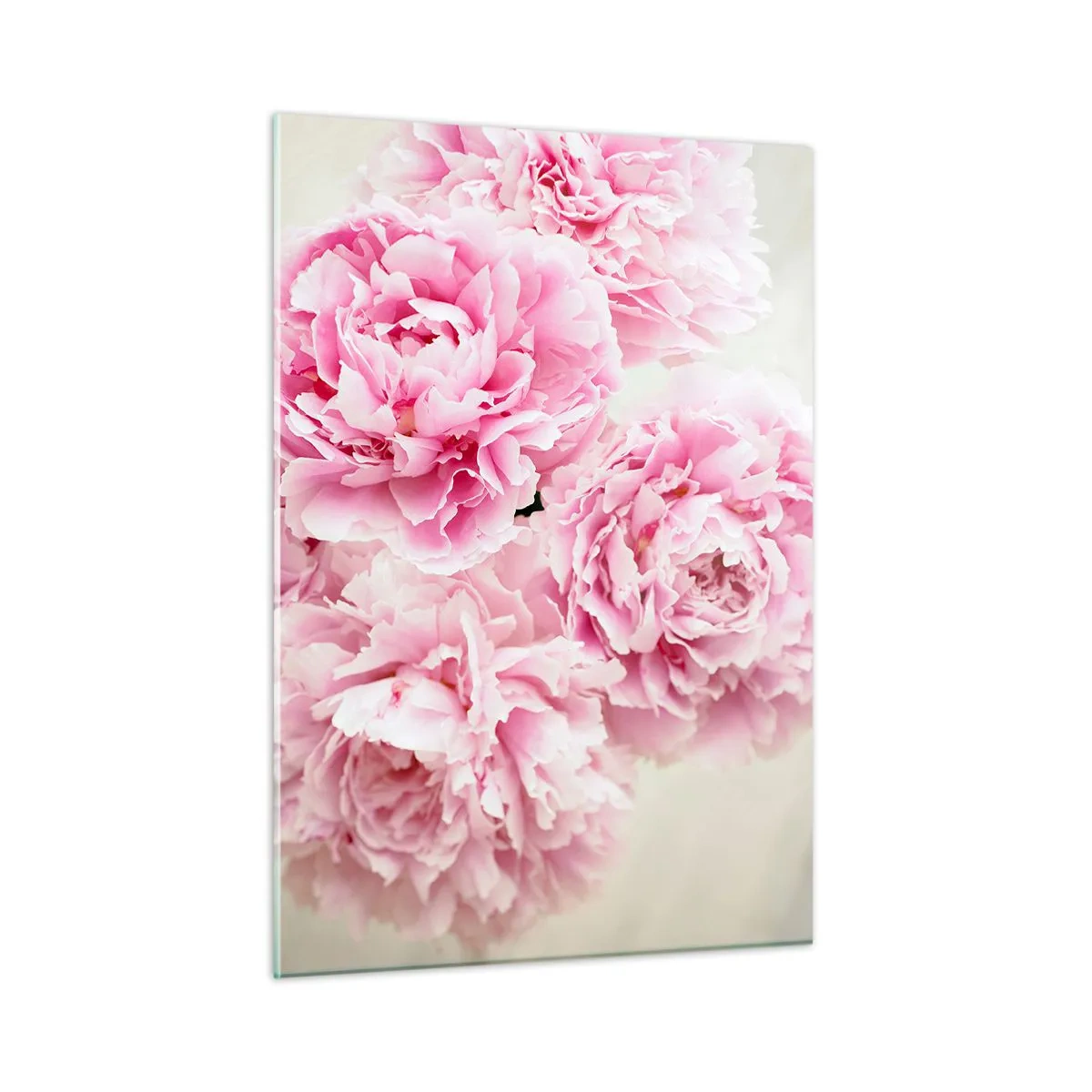 Glastavla - Bild på glas - Rosa prakt - 50x70 cm