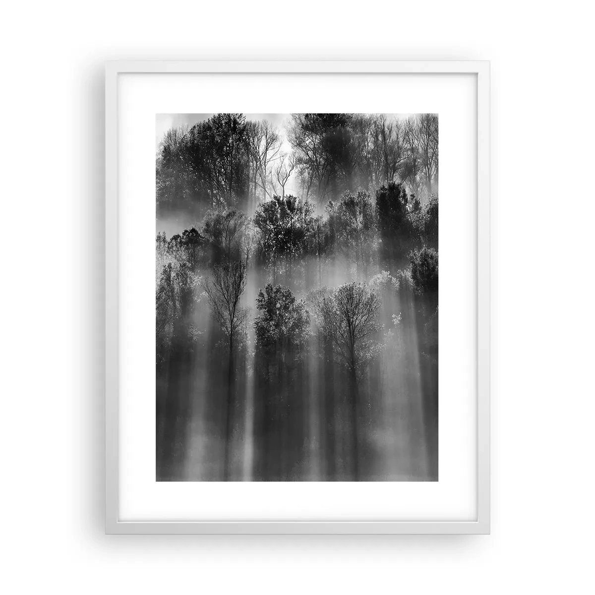 Affisch i vit ram - I ljusstrålar - 40x50 cm