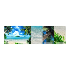 Provbit av fototapet Premium Sand - Tropikens azur - Landskap, Hav, Strand - 100x30 cm