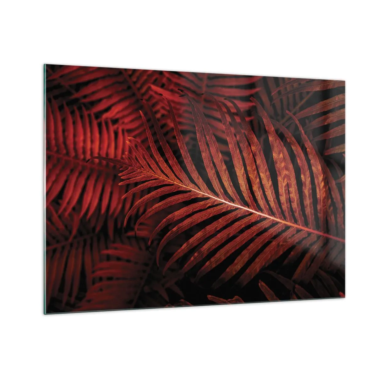 Glastavla - Bild på glas - Livets glöd - 100x70 cm