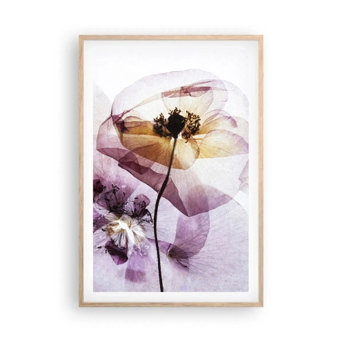 Affisch i ram av ljusek - Blommornas transparenta kroppar - 61x91 cm