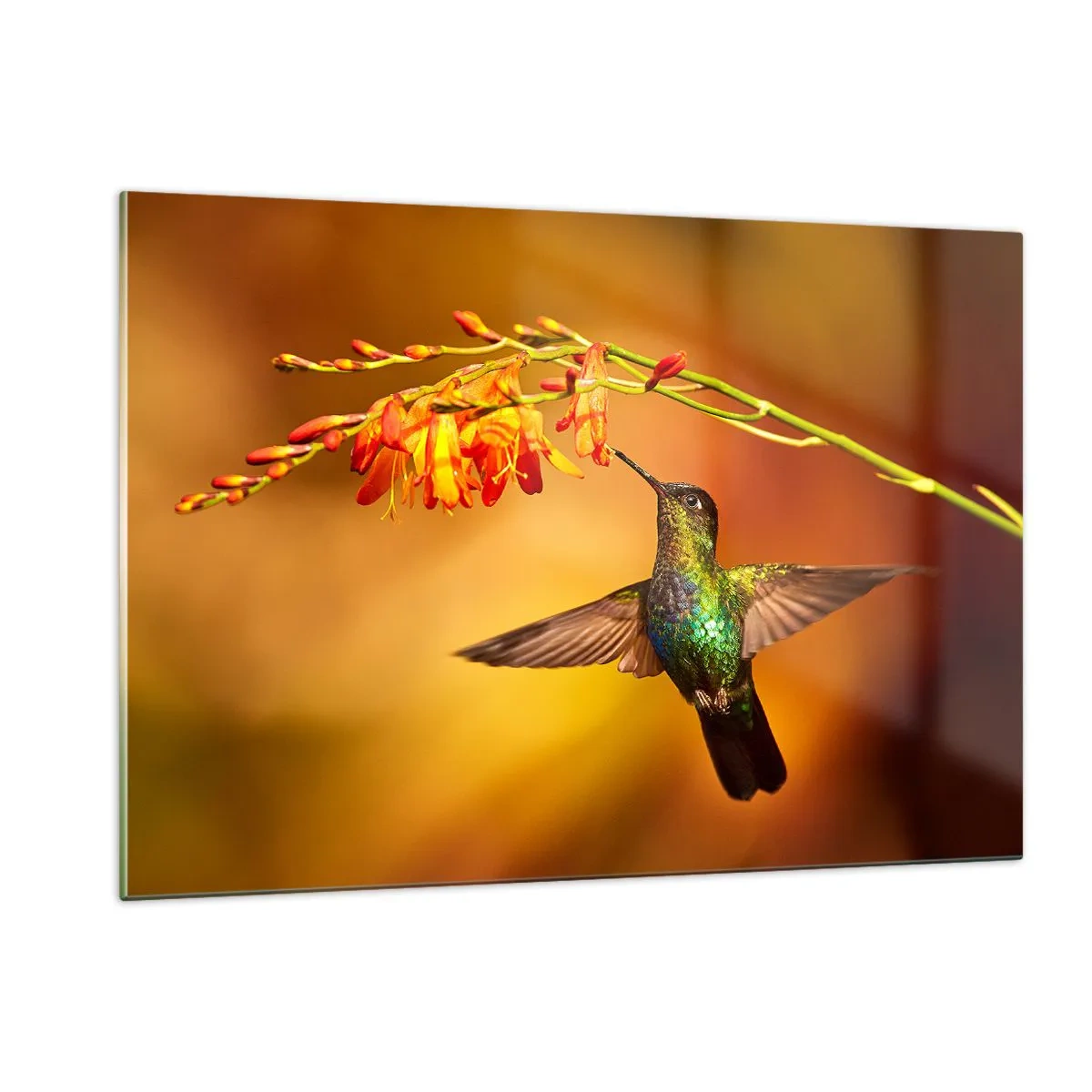 Glastavla - Bild på glas - Ljusbud enligt Mayafolket - 120x80 cm