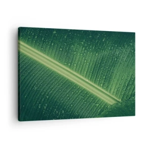Canvastavla - Bild på duk - Ett grönt blad med vattendroppar på ytan - 70x50cm - Grönskans struktur - Modern väggdekoration för vardagsrum och sovrum ARTTOR