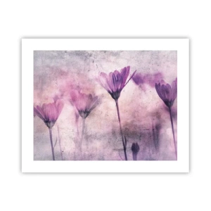 Affisch - Blommornas sömn - 50x40 cm
