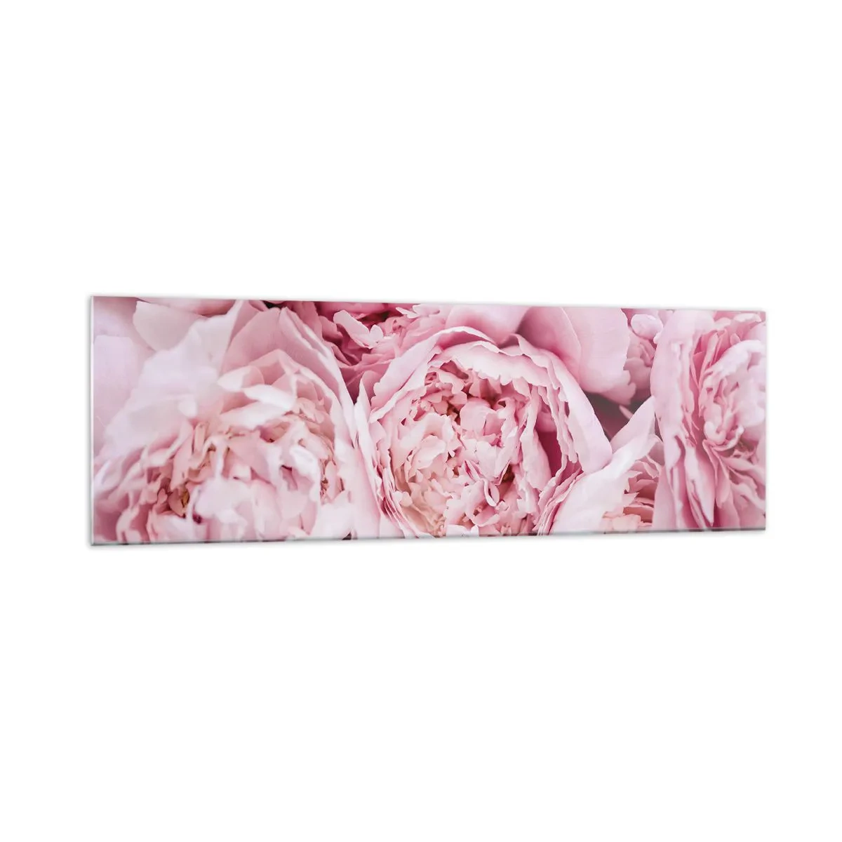 Glastavla - Bild på glas - Hopklämda och doftande - 160x50 cm