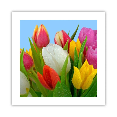 Affisch - blommig regnbåge i daggdroppar - 40x40 cm