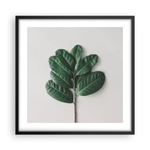 Affisch i svart ram - Själva naturens bild - 50x50 cm