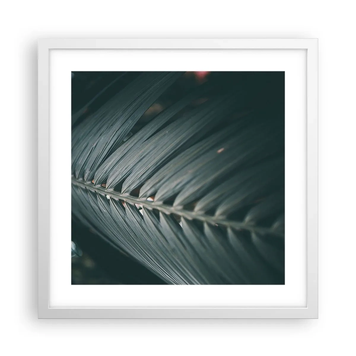 Affisch i vit ram - Naturens precision - 40x40 cm