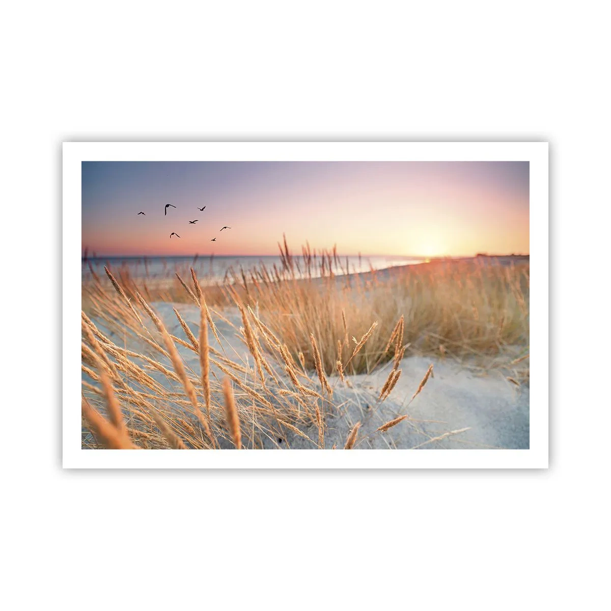 Affisch - Östersjövaggvisa - 91x61 cm