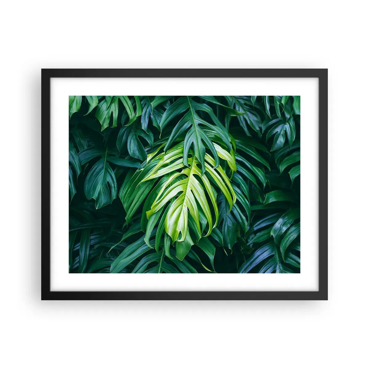 Affisch i svart ram - Doppa sig i fräschheten - 50x40 cm