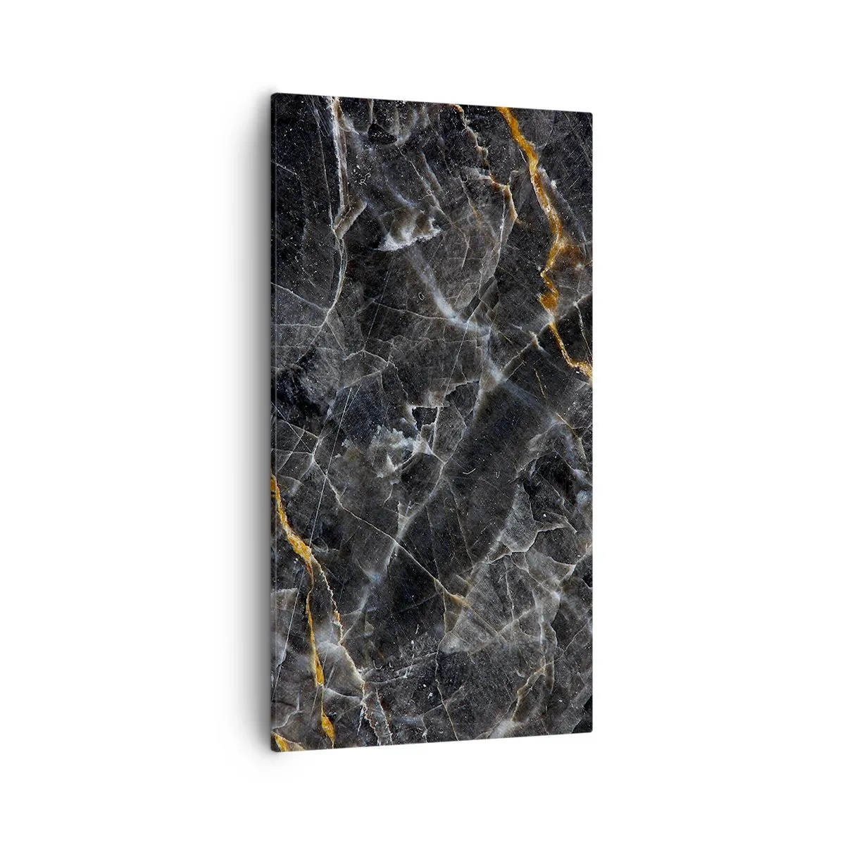Canvastavla - Bild på duk - Stenens interna liv - 55x100 cm