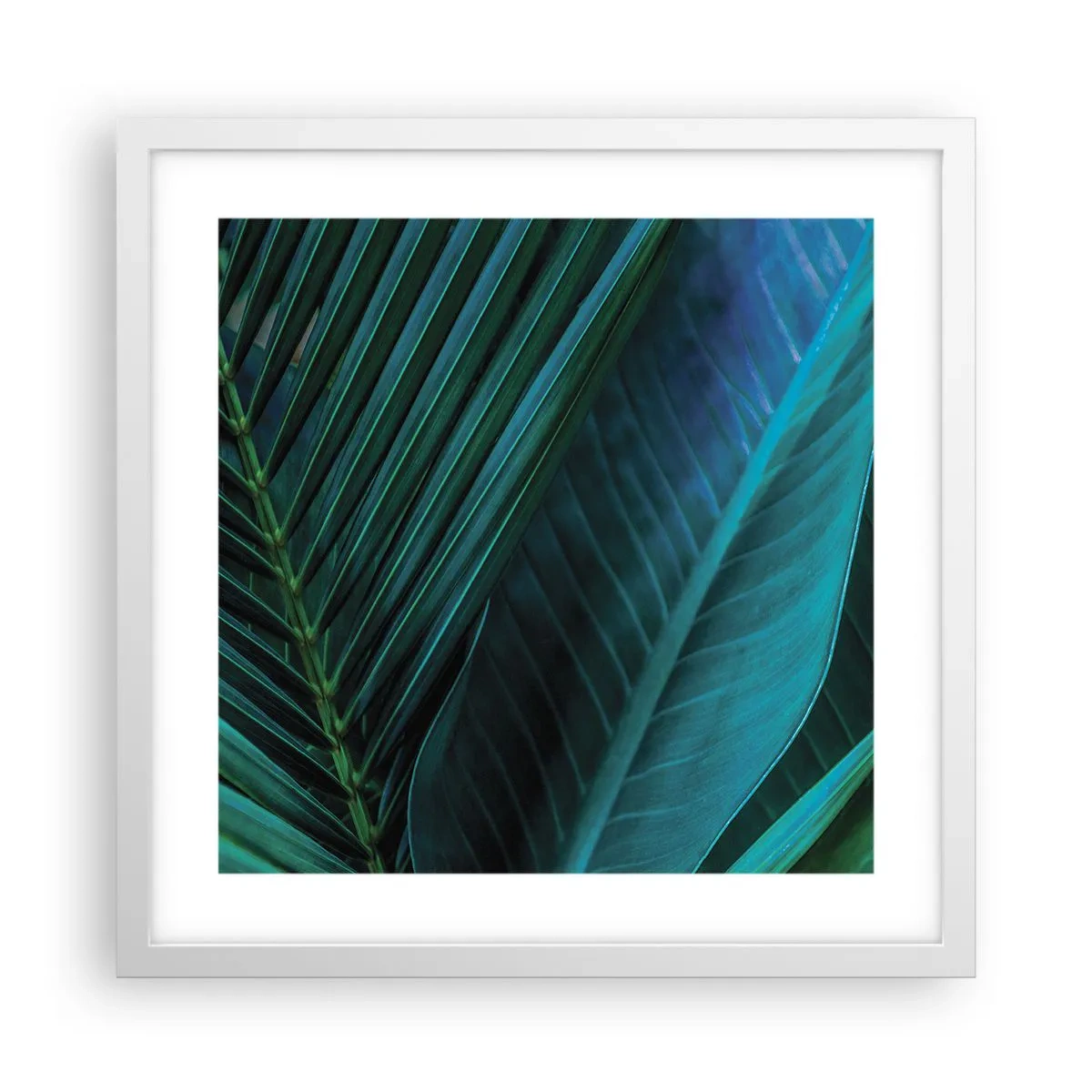 Affisch i vit ram - Grönskans anatomi - 40x40 cm