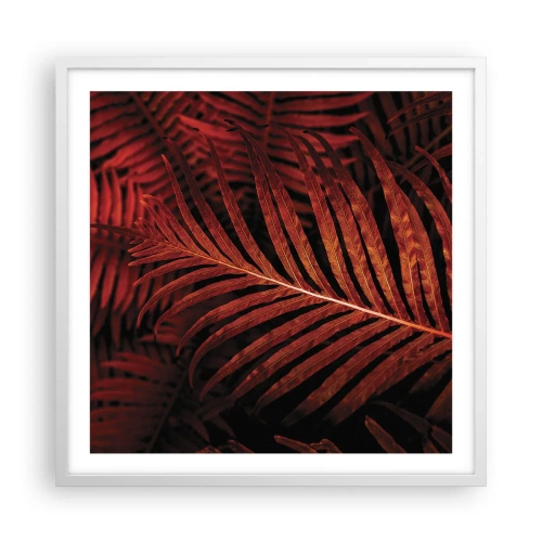 Affisch i vit ram - Livets glöd - 60x60 cm