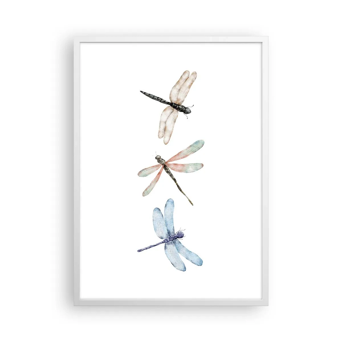 Affisch i vit ram - Viktlösa trollsländor - 50x70 cm