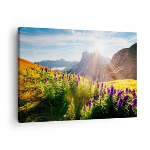 Canvastavla - Bild på duk - Berglandskap med blommor i ljuset av den uppgående solen - 70x50cm - Örternas hemliga liv - Modern väggdekoration för vardagsrum och sovrum ARTTOR