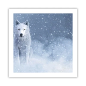 Affisch - I vinter anda - 50x50 cm