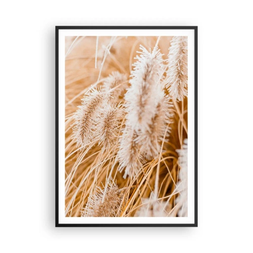 Affisch i svart ram - Gyllene gräsrassel - 70x100 cm