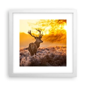 Affisch i vit ram - Höstskogens kung - 30x30 cm