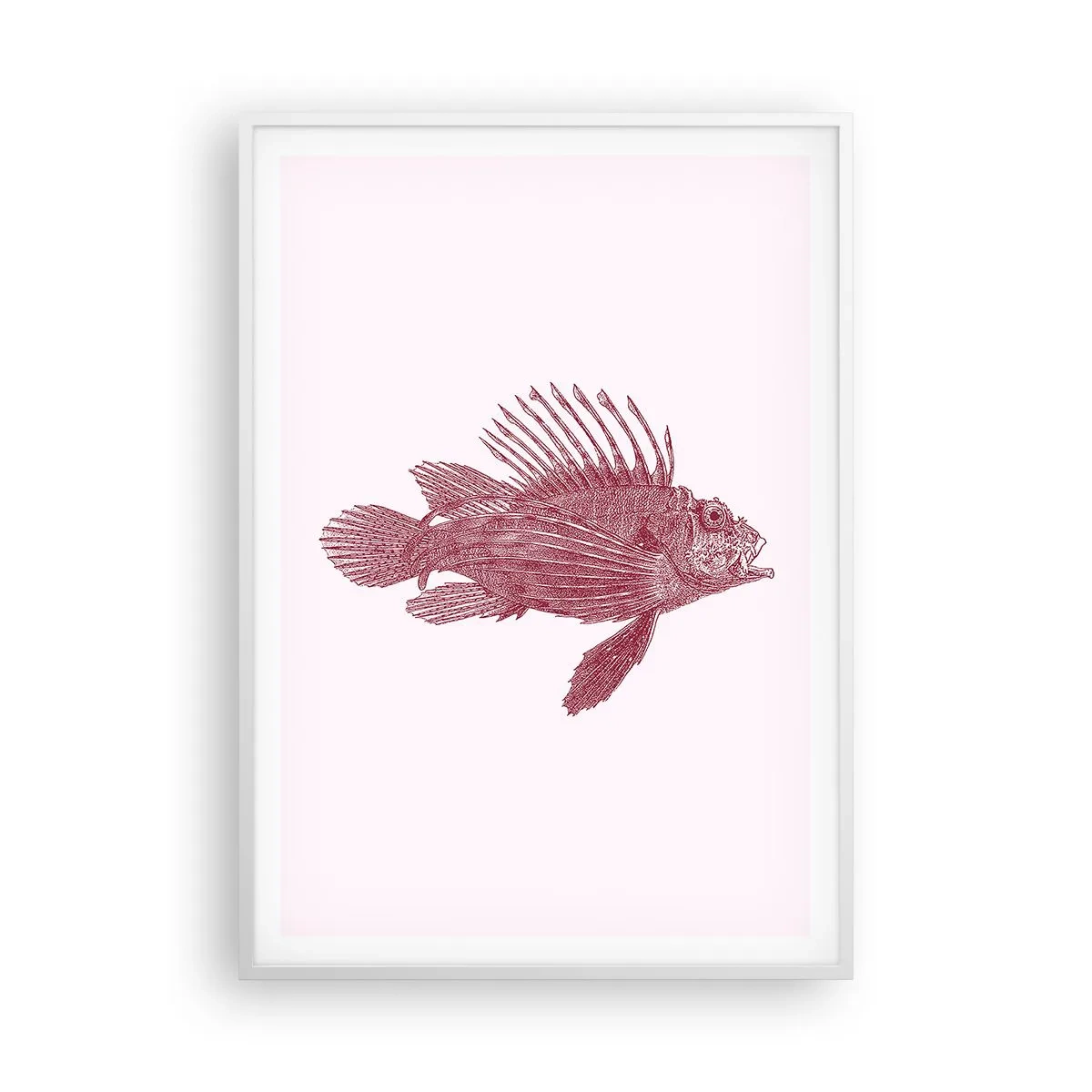 Affisch i vit ram - En invånare i exotiska vatten - 70x100 cm