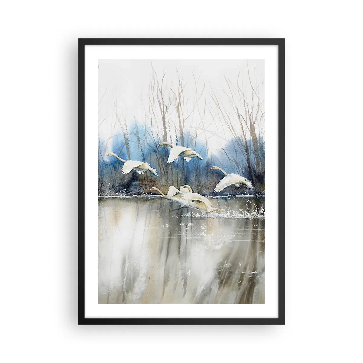 Affisch i svart ram - En flock svanar som flyter över vattnet i målerisk stil - 50x70cm - Som i en saga om vilda svanar - Modern väggdekoration för vardagsrum och sovrum ARTTOR