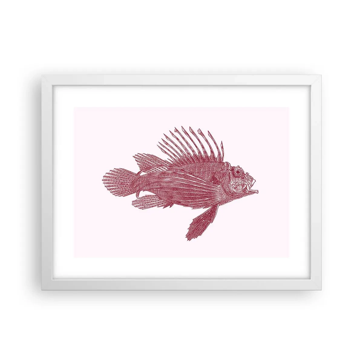 Affisch i vit ram - En invånare i exotiska vatten - 40x30 cm