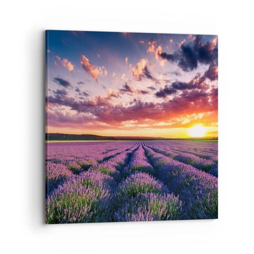 Canvastavla - Bild på duk - Lavandelvärld - 70x70 cm