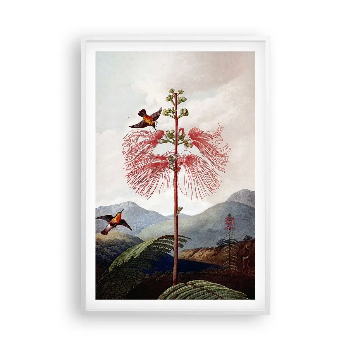 Affisch i vit ram - I ett tropiskt paradis - 61x91 cm