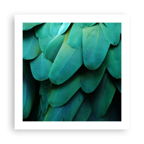 Affisch - Precision av papegojans natur - 50x50 cm