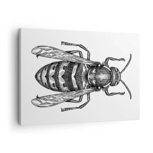 Canvastavla - Bild på duk - Ett tecknat getingmotiv på vit bakgrund i minimalistisk stil. - 70x50cm - Från insektplaneten - Modern väggdekoration för vardagsrum och sovrum ARTTOR