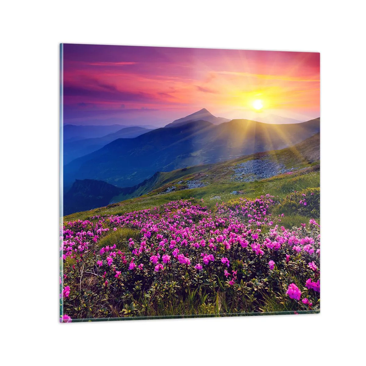 Glastavla - Bild på glas - … Bergtallen doftar och örterna luktar runt omkring - 40x40 cm