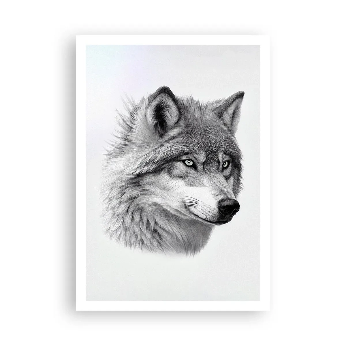 Affisch - Alfa - utan tvekan - 70x100 cm