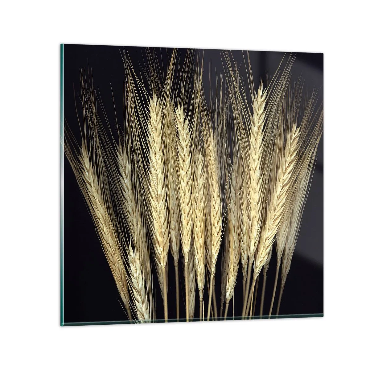 Glastavla - Bild på glas - Rustik magi - 70x70 cm