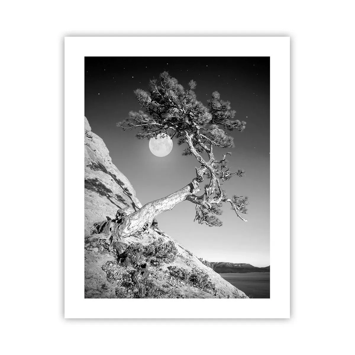 Affisch - Segerrik kämpe - 40x50 cm