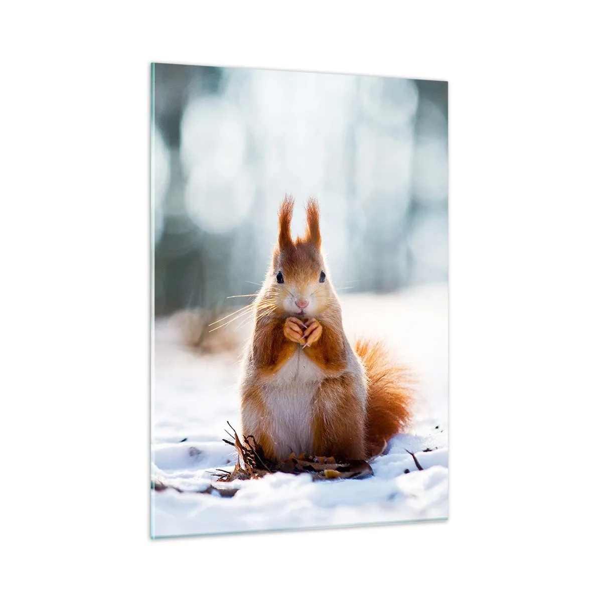 Glastavla - Bild på glas - Vad glor du på? - 50x70 cm