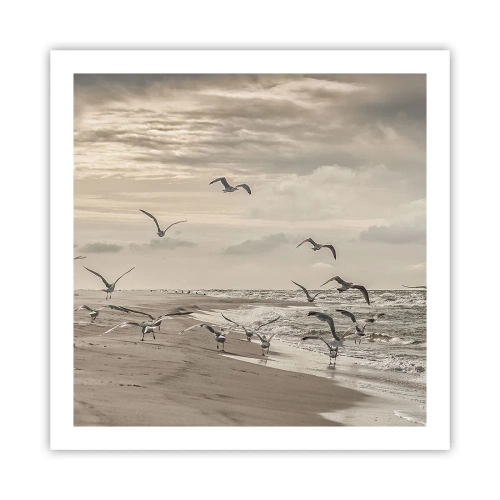 Affisch - Havets brus, fågelsång - 60x60 cm