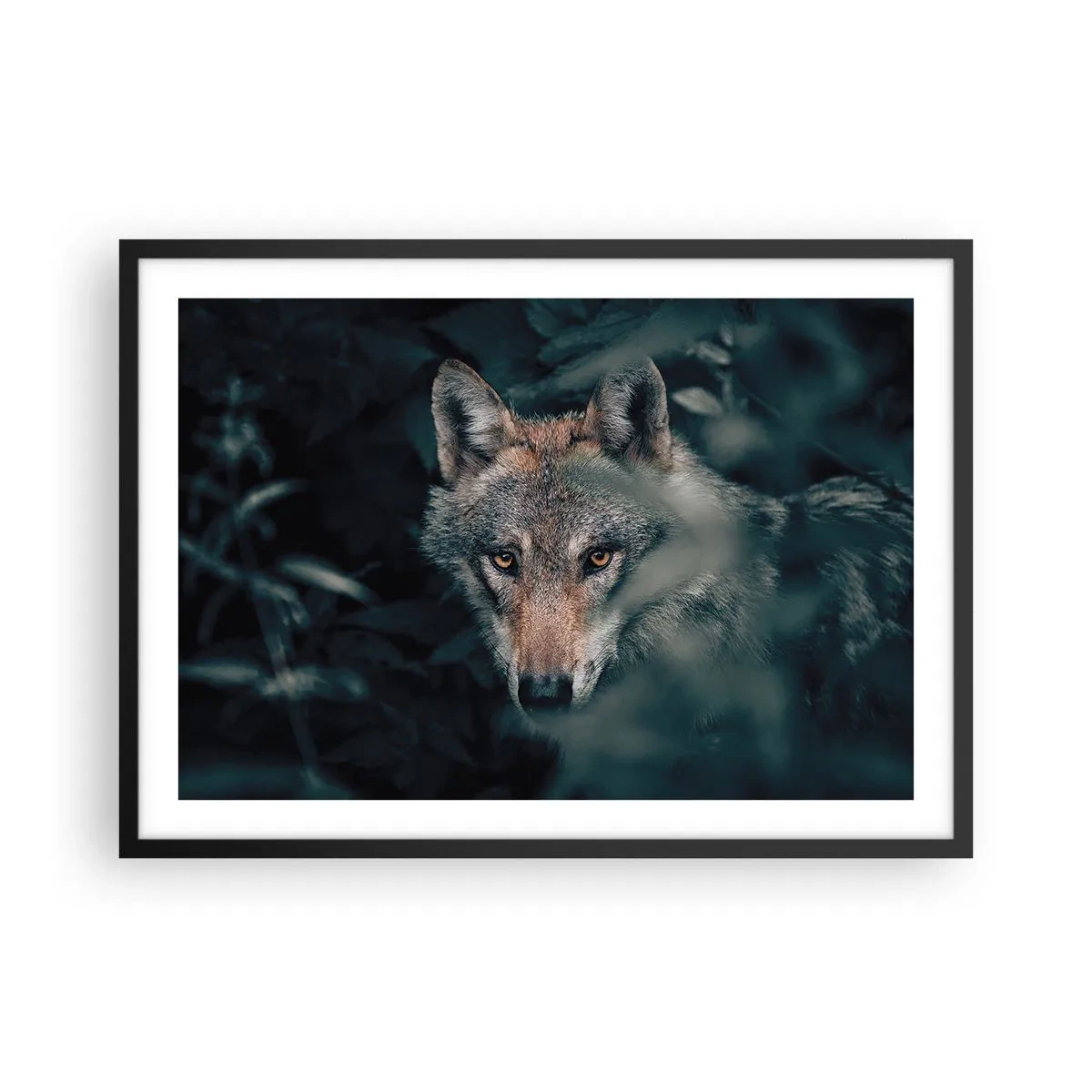 Affisch i svart ram - Jägare - 70x50 cm