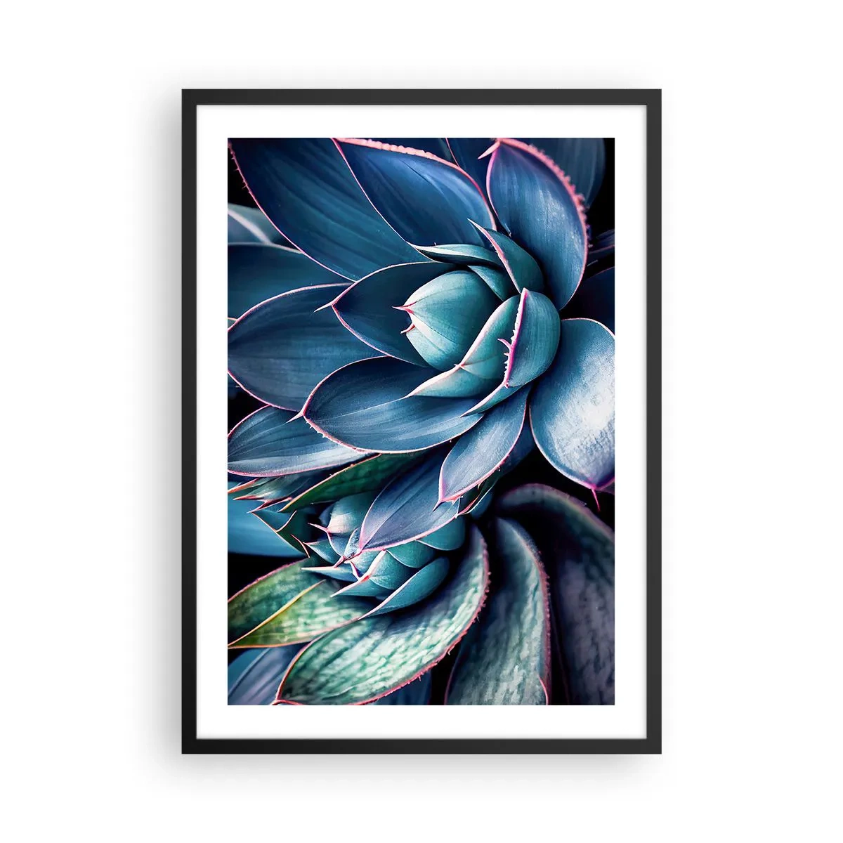 Affisch i svart ram - Agave i nyanser av blått och grönt - 50x70cm - Vital kraft - Modern väggdekoration för vardagsrum och sovrum ARTTOR