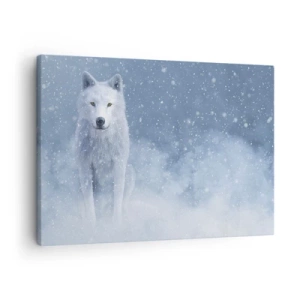 Canvastavla - Bild på duk - Vit varg i ett snöigt landskap - 70x50cm - I vinter anda - Modern väggdekoration för vardagsrum och sovrum ARTTOR